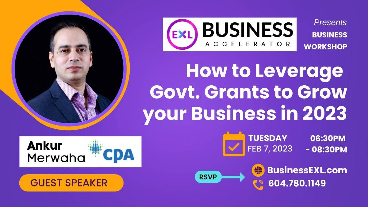 how to leverage govt grants to grow