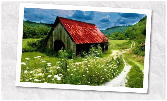 4d1dabba e976 4364 bd5c 9af3798c4c5f